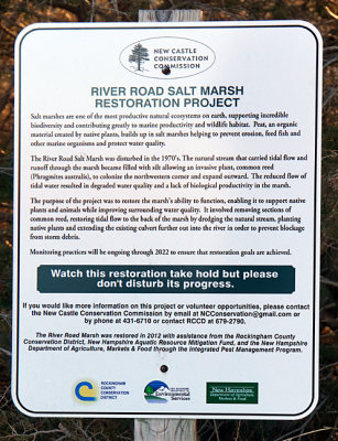 River Road Salt Marsh Restoration.