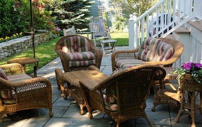 Patio view of the yard.