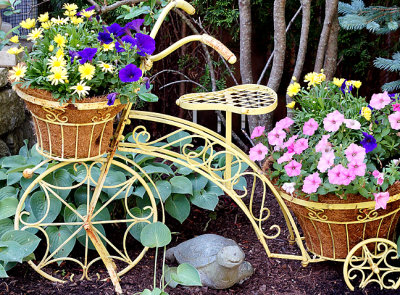 Yellow tricycle planter.