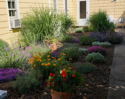 Full view of garden.