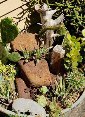 Cactus planter.