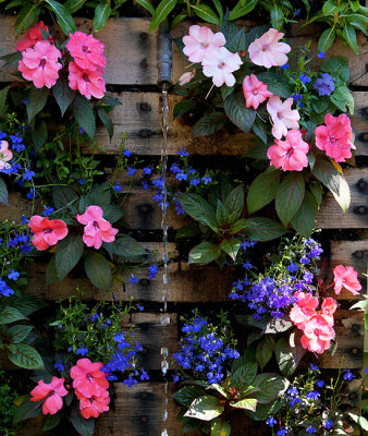Vertical flowers.