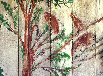 Painted birds on fencing.