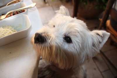 ET  MOI  ?