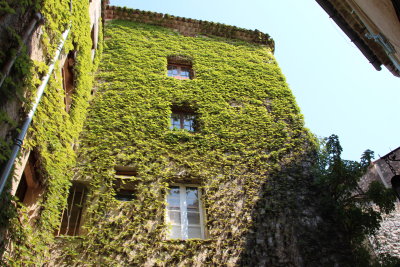 TRES BELLE MAISON ET SA VIGNNE-VIERGE
