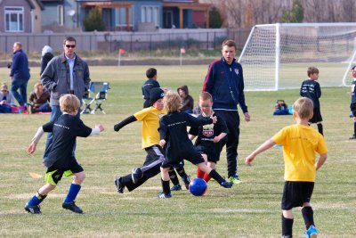 2014 Spring Season