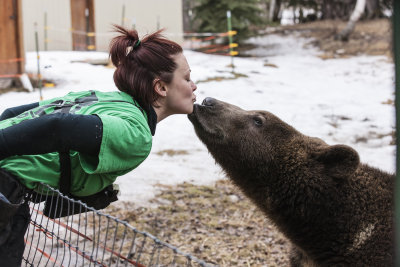 Grizzly kisses handles