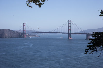 Golden Gate Bridge from the west
