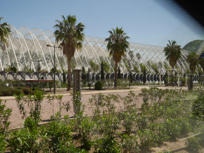 Caltrava building in Valencia