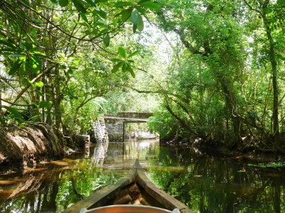 Cochin India