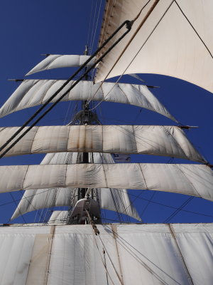 All five sails up 