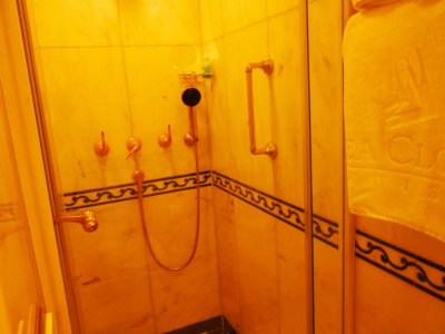 the shower
