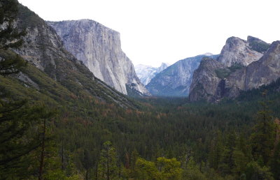 Tunnel view