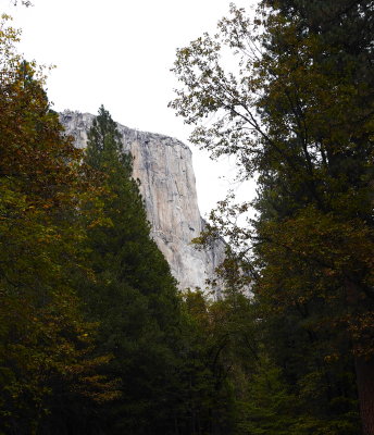 Fall visit to Yosemite 2015