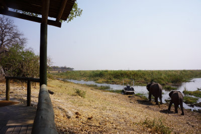 Our cabin with Mom and baby elephant