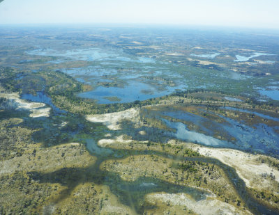 Delta from above