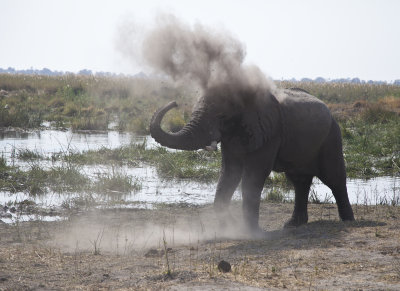 Botswana and Zambia trip with Natural Habitat-2016