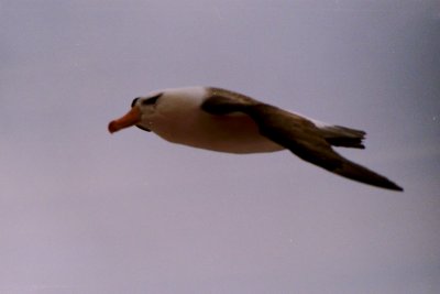 20130407141511_01_edit.jpg