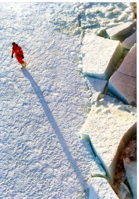 img006.jpg