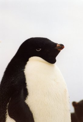 img059.jpg