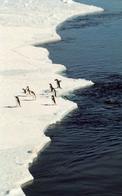img068.jpg