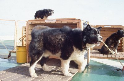 img095.jpg