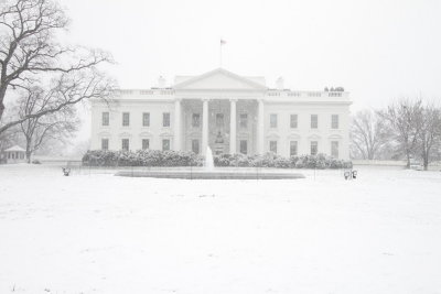 The White House and more.
