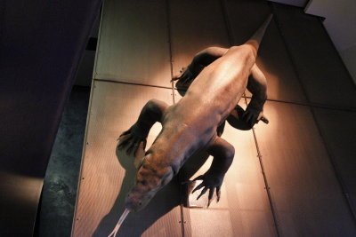 _MG_3445.jpg