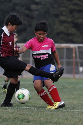 _MG_1548.jpg