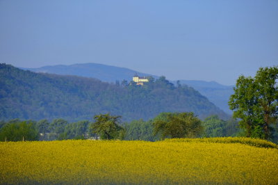 RAS_4476 Schloß Pitten von Lanzenkirchen aus
