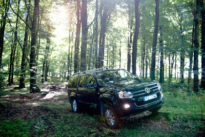Amarok