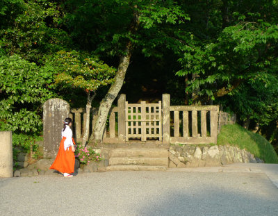g9/03/633303/3/158442021.R72wD3yv.jpg