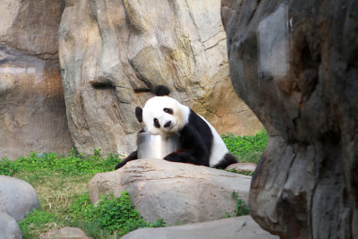IMG_8352-OK.jpg