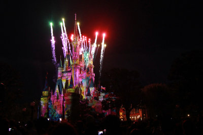 Tokyo Disneyland