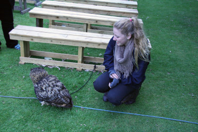 Falconry at Dornoch Castle-12.jpg