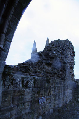 St Andrews Cathedral-5.jpg
