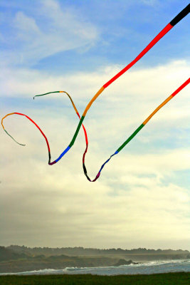 Mendocino Coast Kite.jpg