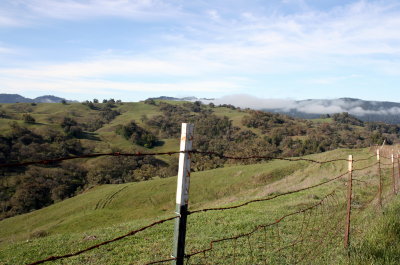 2015-03-08 10:35