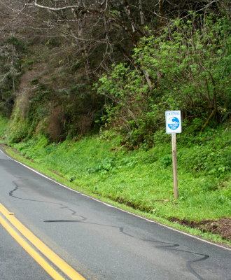 Sea Level on Highway 1.JPG