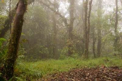 Cumbre del Volcan