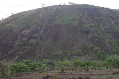 Detalle de una de las Cimas del Crater