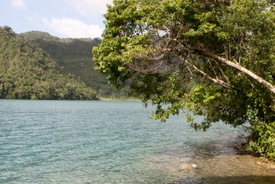 El Color Turquesa del Agua Predomina en la Laguna 