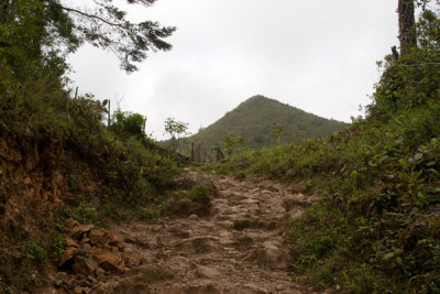 En su Mayoria, el Camino a la Laguna es Amplio
