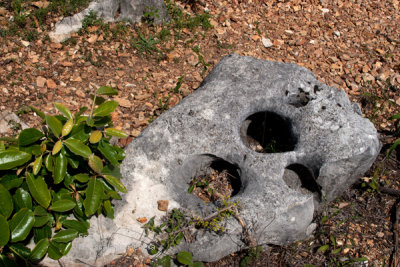 La Mayoria de Piedras del lugar Tienen Formas Caprichosas