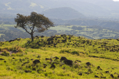 El Tipo de Terreno es muy Singular