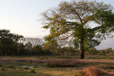 Paisaje a las Afueras de la Cabecera