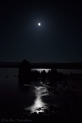 Moonrise Silhouettes