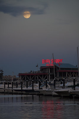 Rusty Scupper Moon