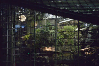 National Aquarium Moon