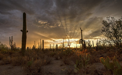 Monsoon Sunset